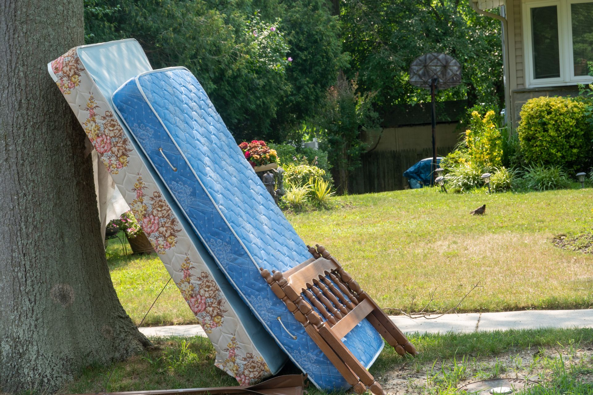 Junk Removal in Athens, GA