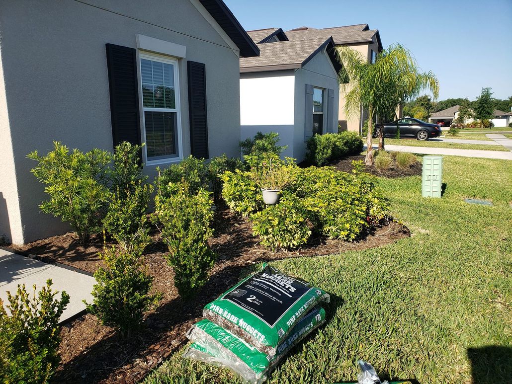 About Handy Services Plus in Tampa, FL
