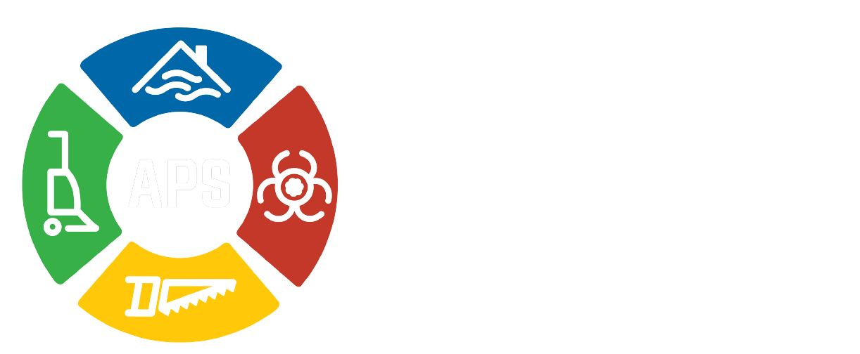 All Pro Services logo
