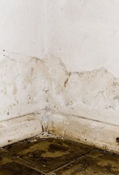 water damage restoration salt lake city