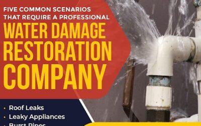 All Pro Services of Utah Explains the importance of handling Salt Lake City water damage right away