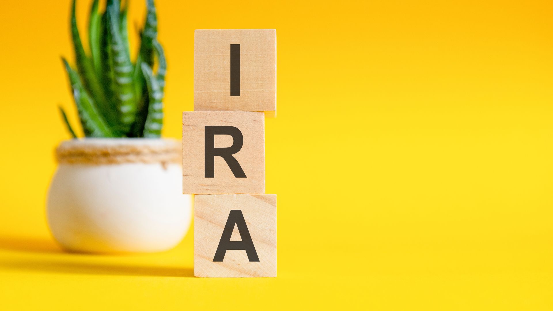 The word ira is written on wooden blocks next to a potted plant.