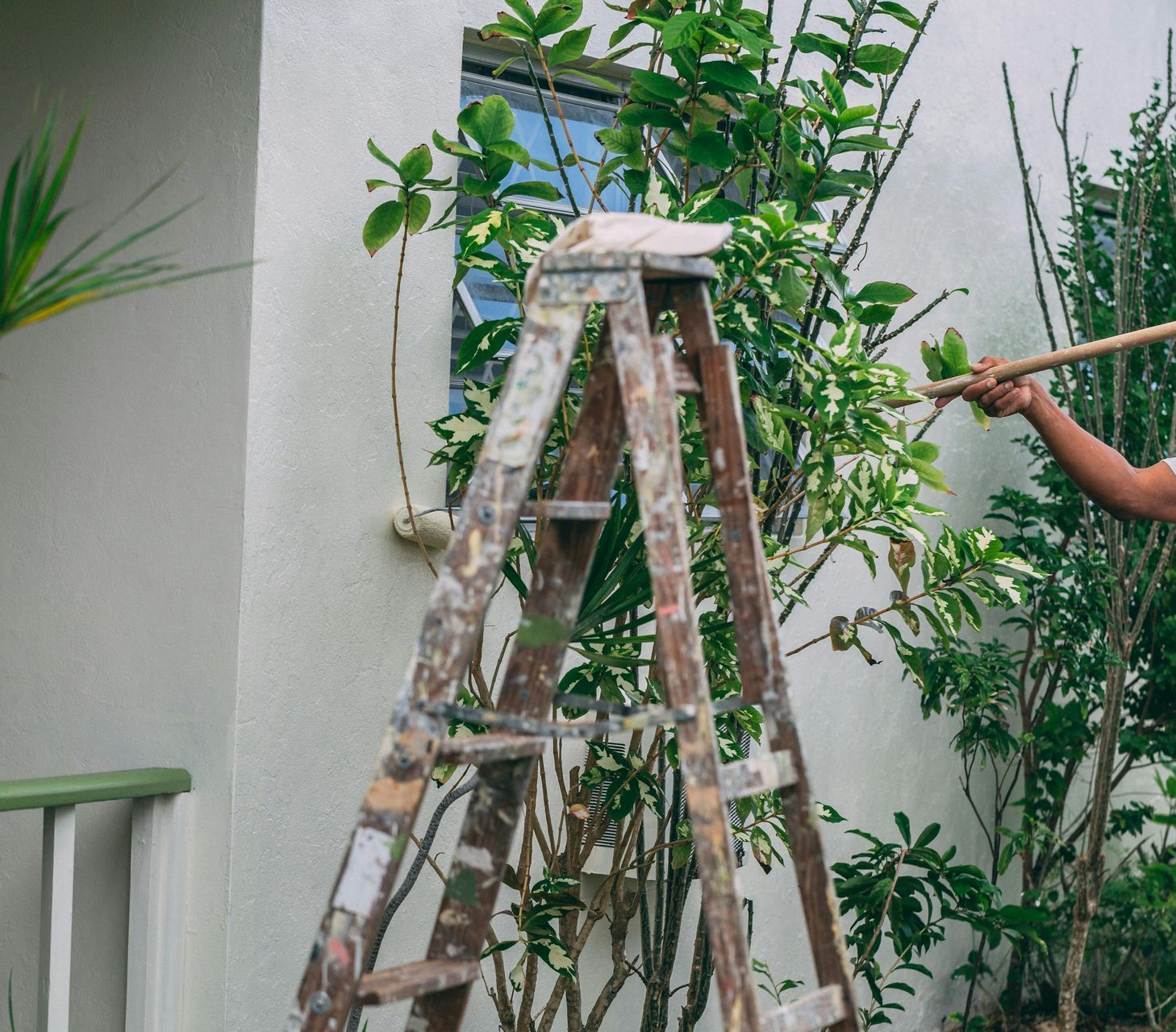 A man is standing on a wooden ladder painting a tree.