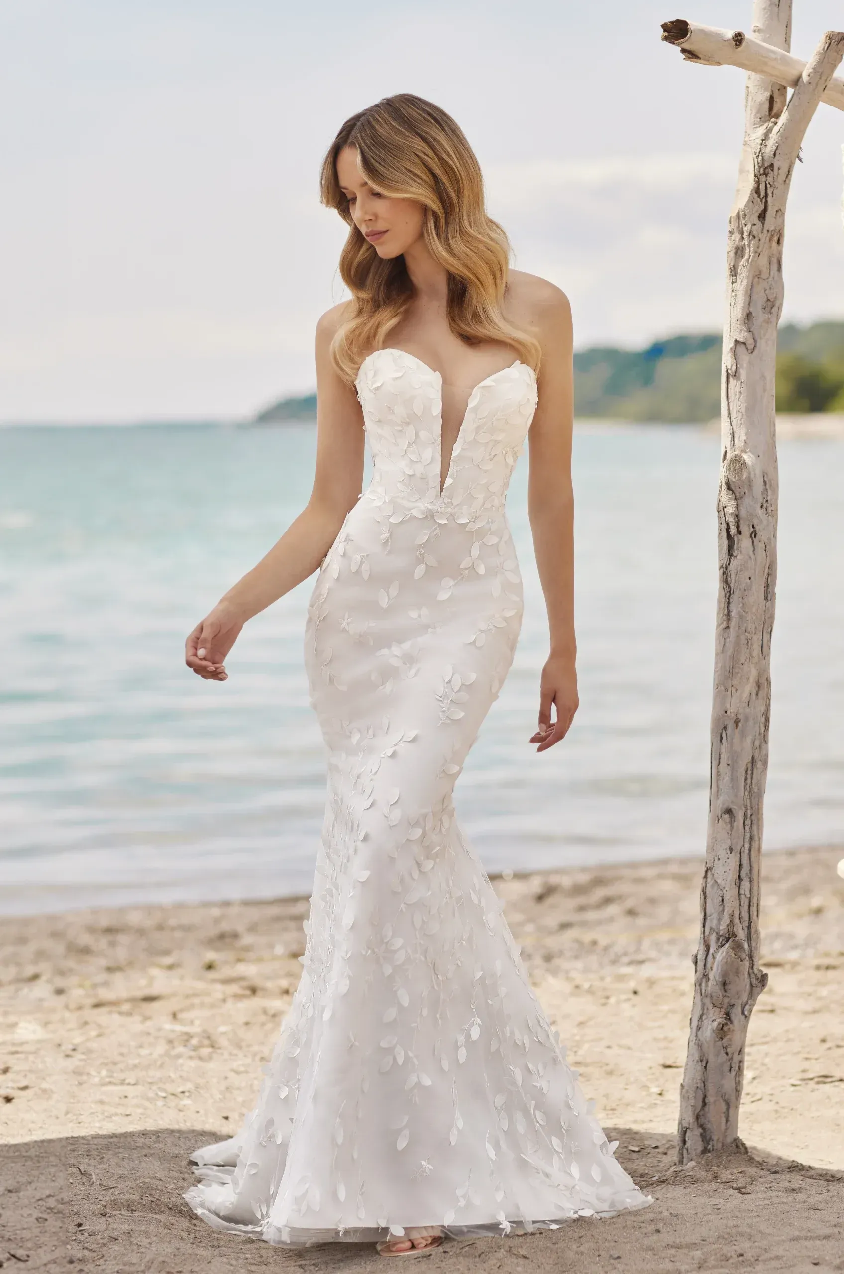 A woman in a white wedding dress is standing on a beach next to a tree. Mikaella 2481