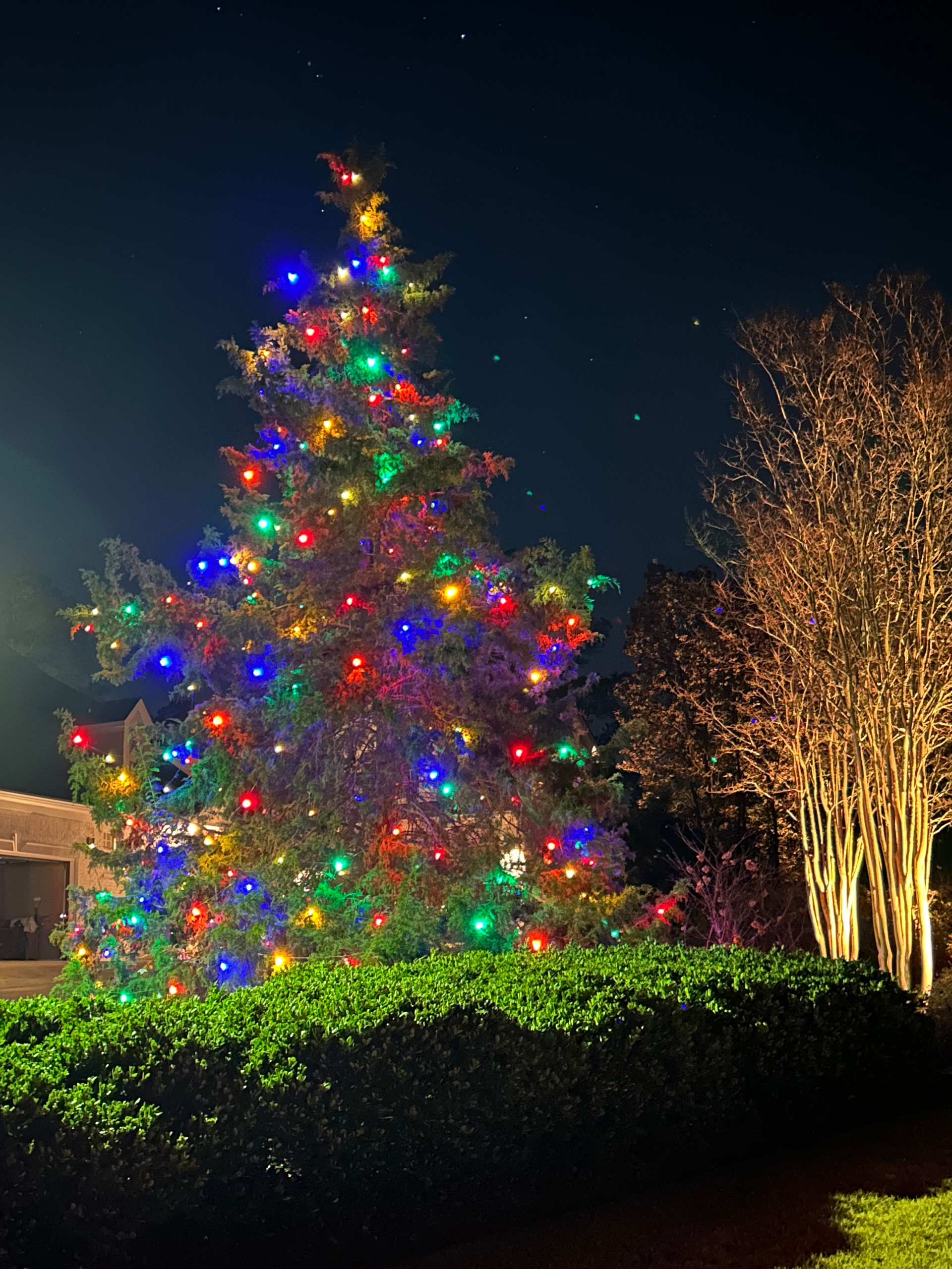 Christmas tree illuminated with colorful lights, set against a dark night sky.