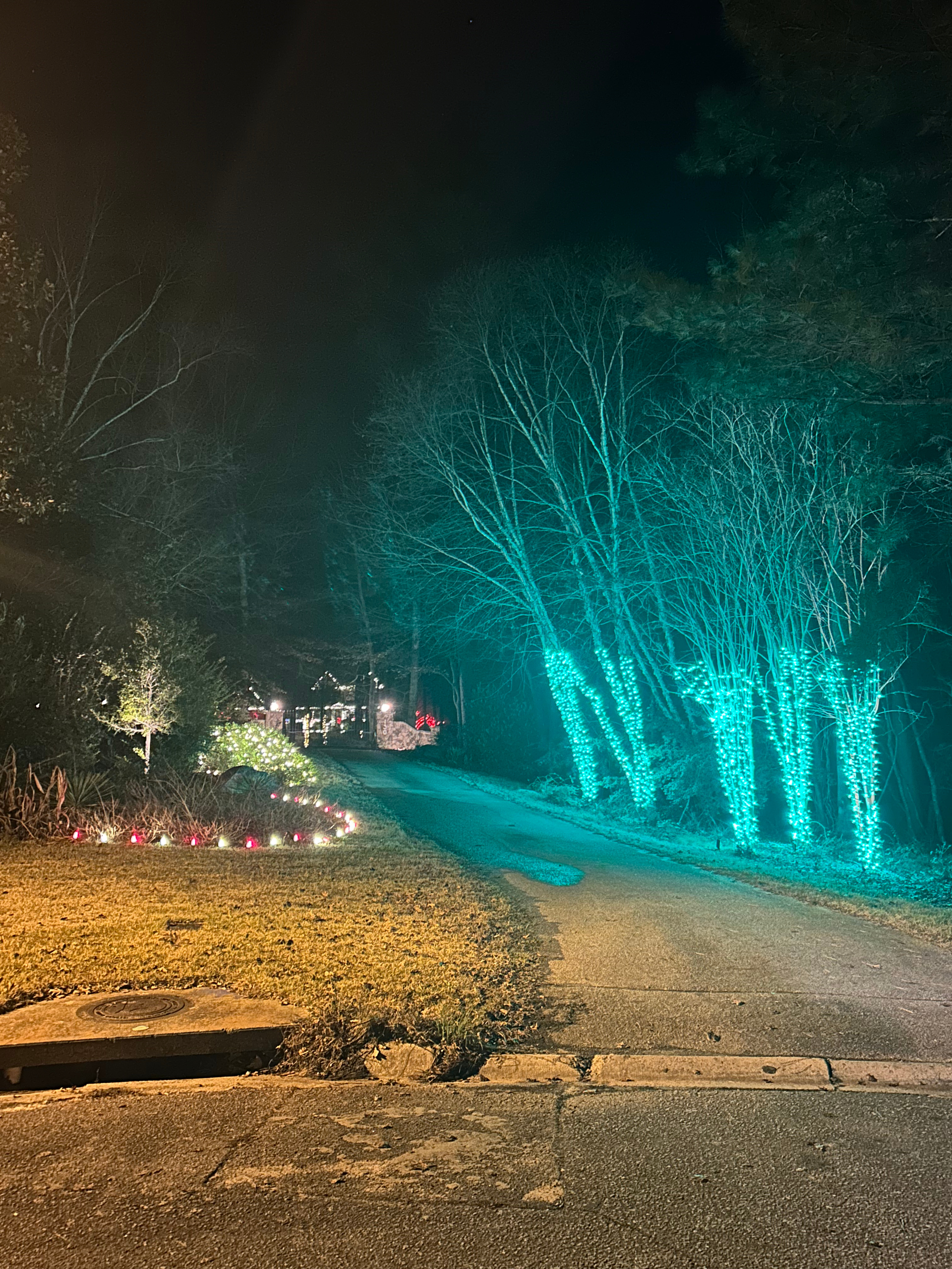A nighttime scene with a path, trees lit in teal, and a house with lights.