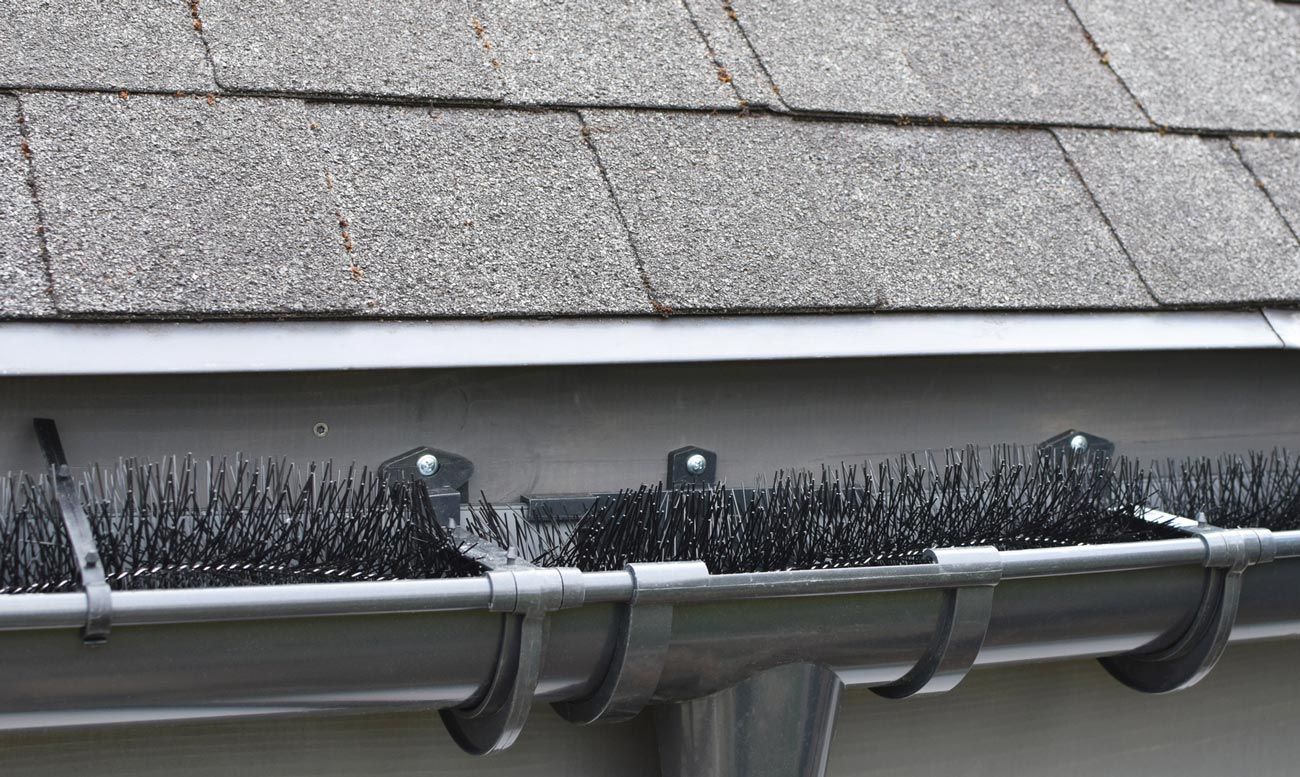 Plastic Guard Brush — Greater Tyler Area, TX — Adept Gutters