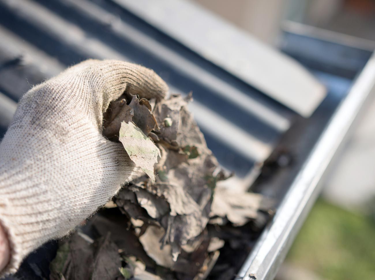 Removing Gutter Leaves — Greater Tyler Area, TX — Adept Gutters