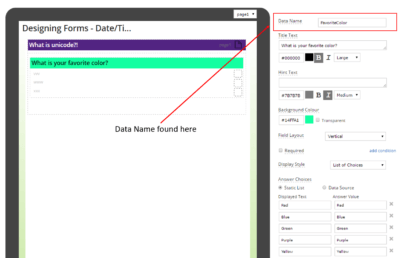 Data-Name-in-Form-Designer