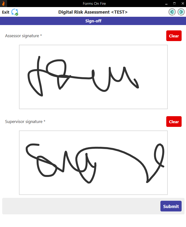 FOF digital risk assessment form 4.