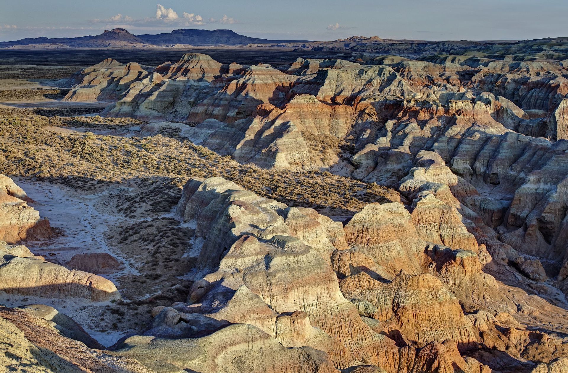 Red Desert Wyoming