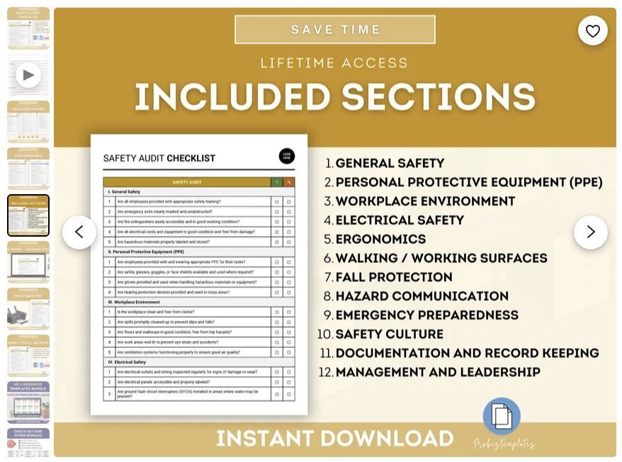 An example of a safety audit checklist template found online.