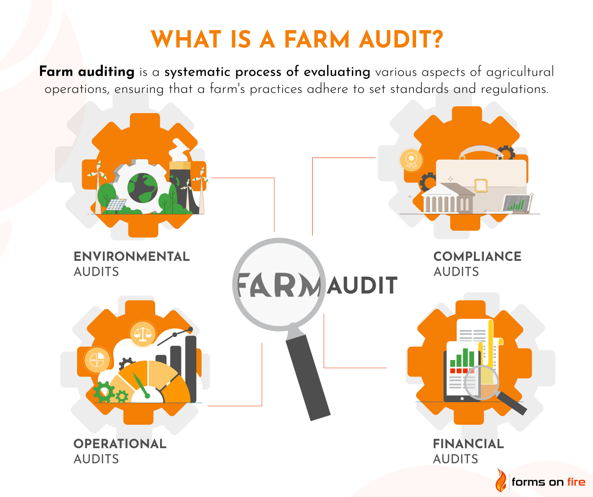 A poster explaining what is a farm audit and its main types.