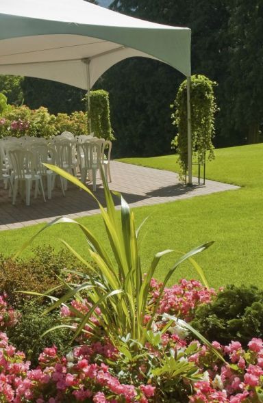 landscaped lawn and garden