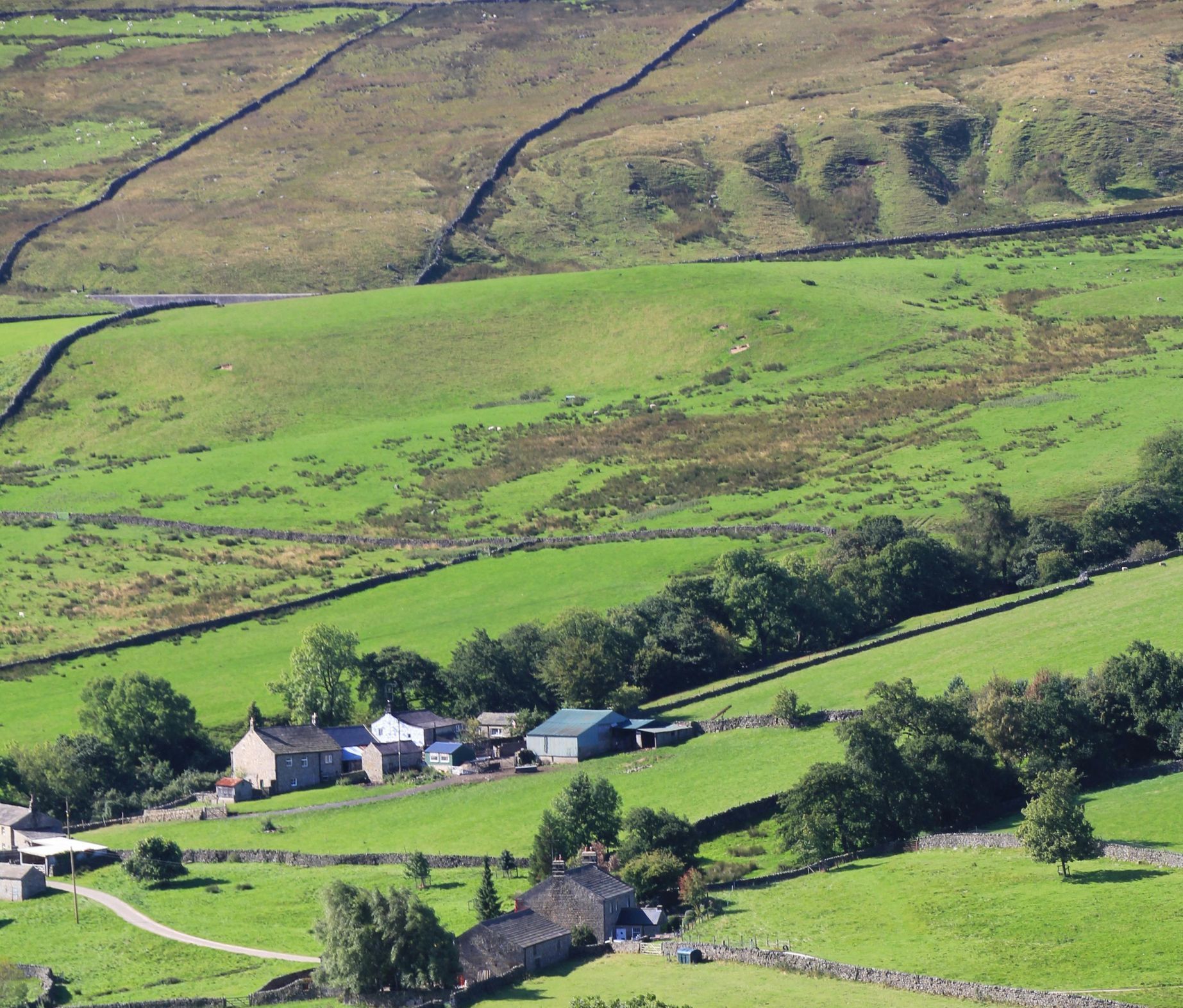 The sun is shining through the trees in a dark forest.