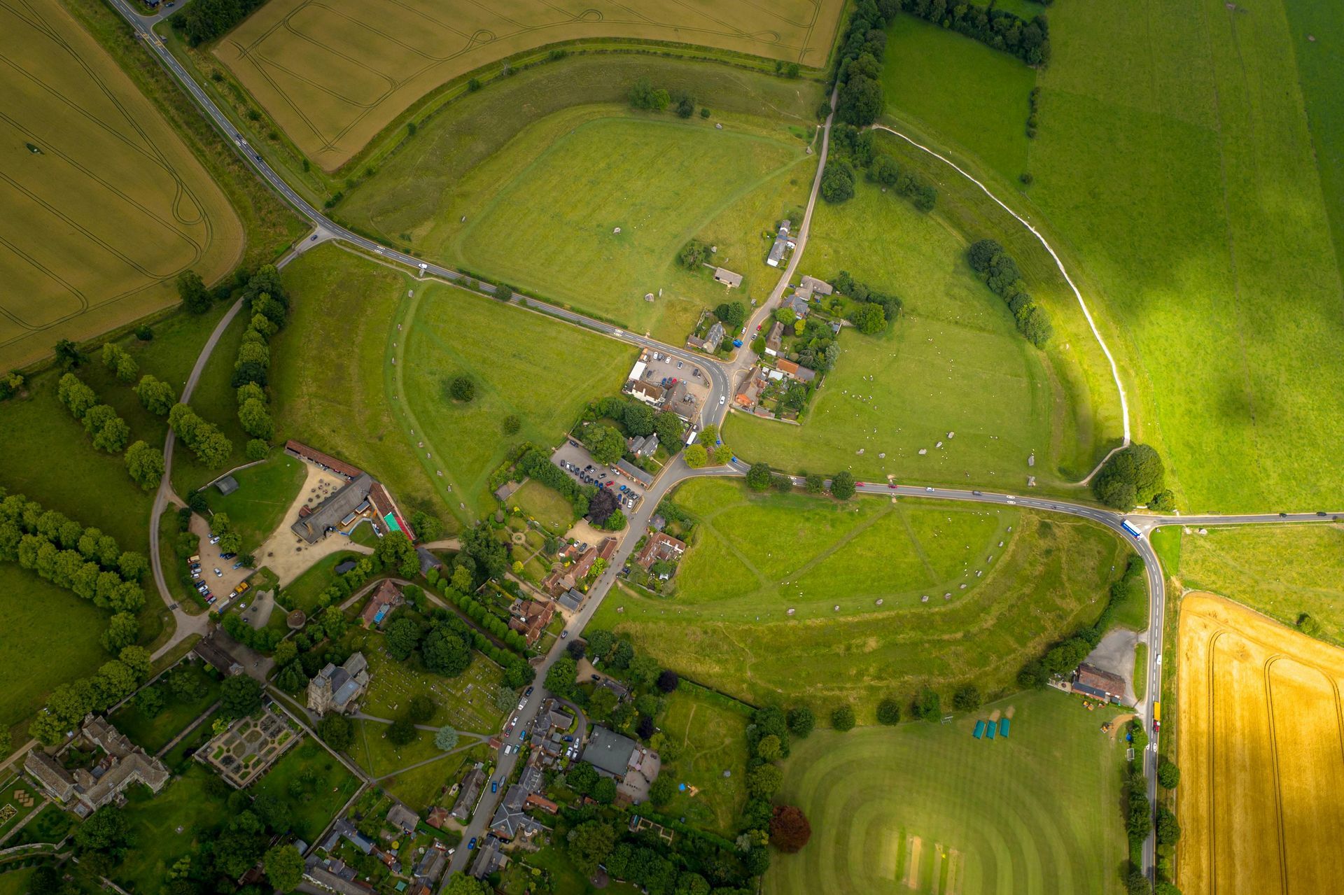 An aerial view of a lush green pine forest.