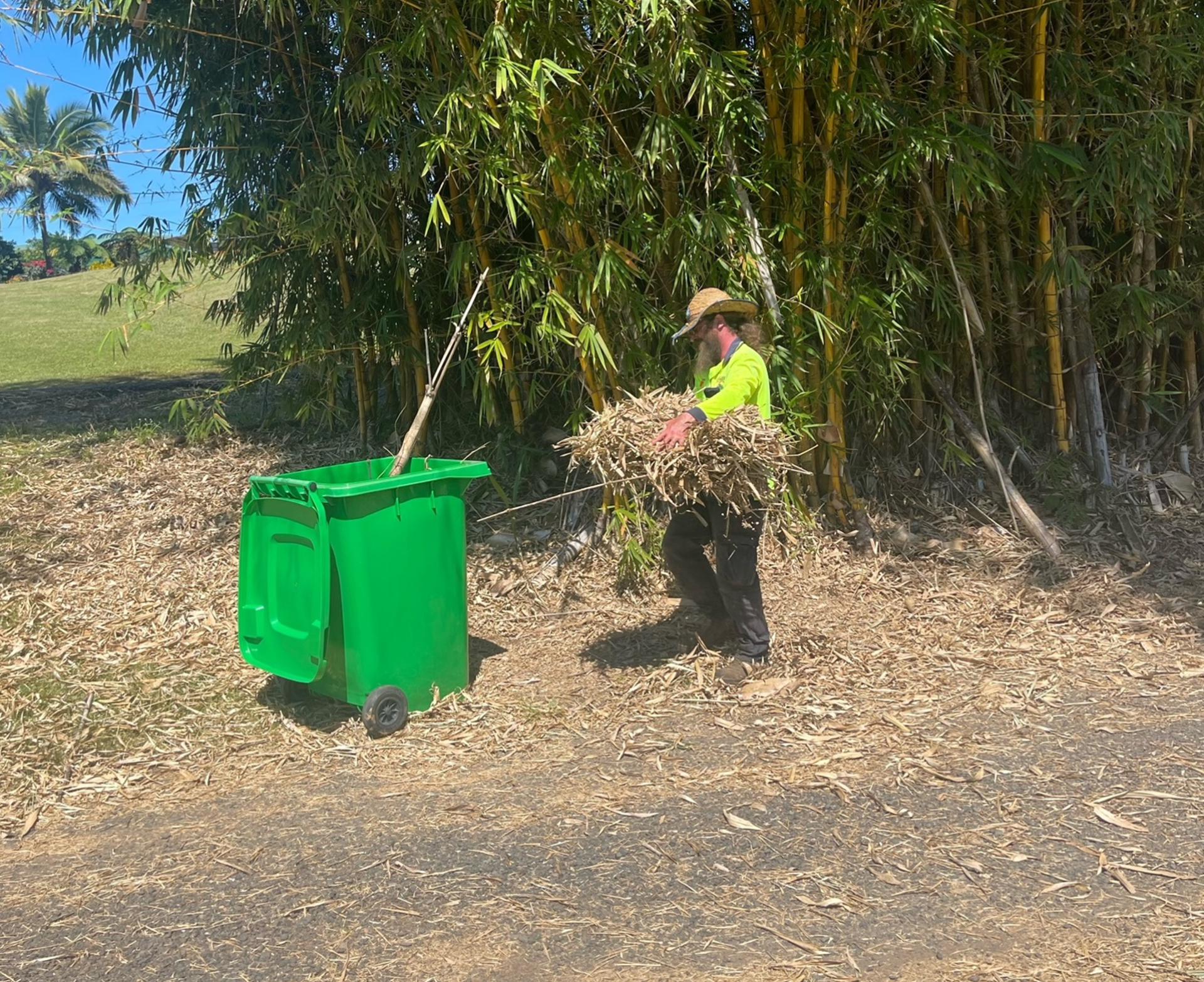Person in a hat and neon shirt putting debris into a green trash bin near a bamboo grove. — Greenaway Green Waste Removal in Babinda, QLD