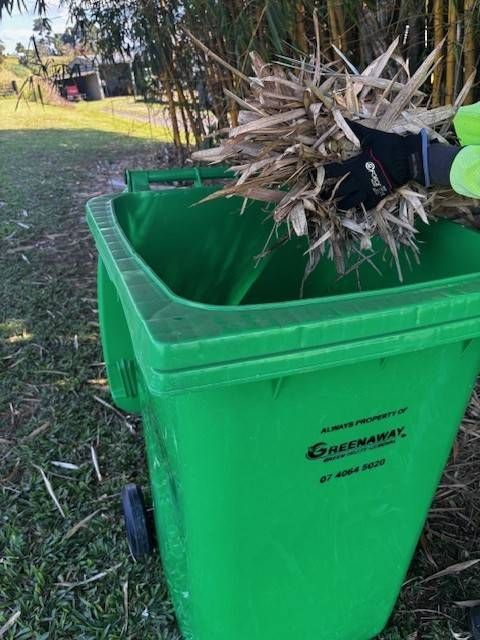 Person in gloves putting dried debris into a green trash can outside. — Greenaway Green Waste Removal in Babinda, QLD