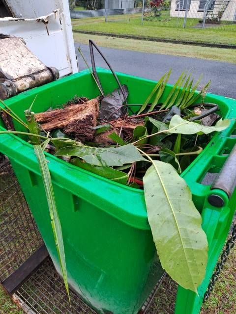 Green trash bin filled with yard waste, including leaves, branches, and a shovel. Outdoors, near a grassy area.— Greenaway Green Waste Removal in Mission Beach, QLD