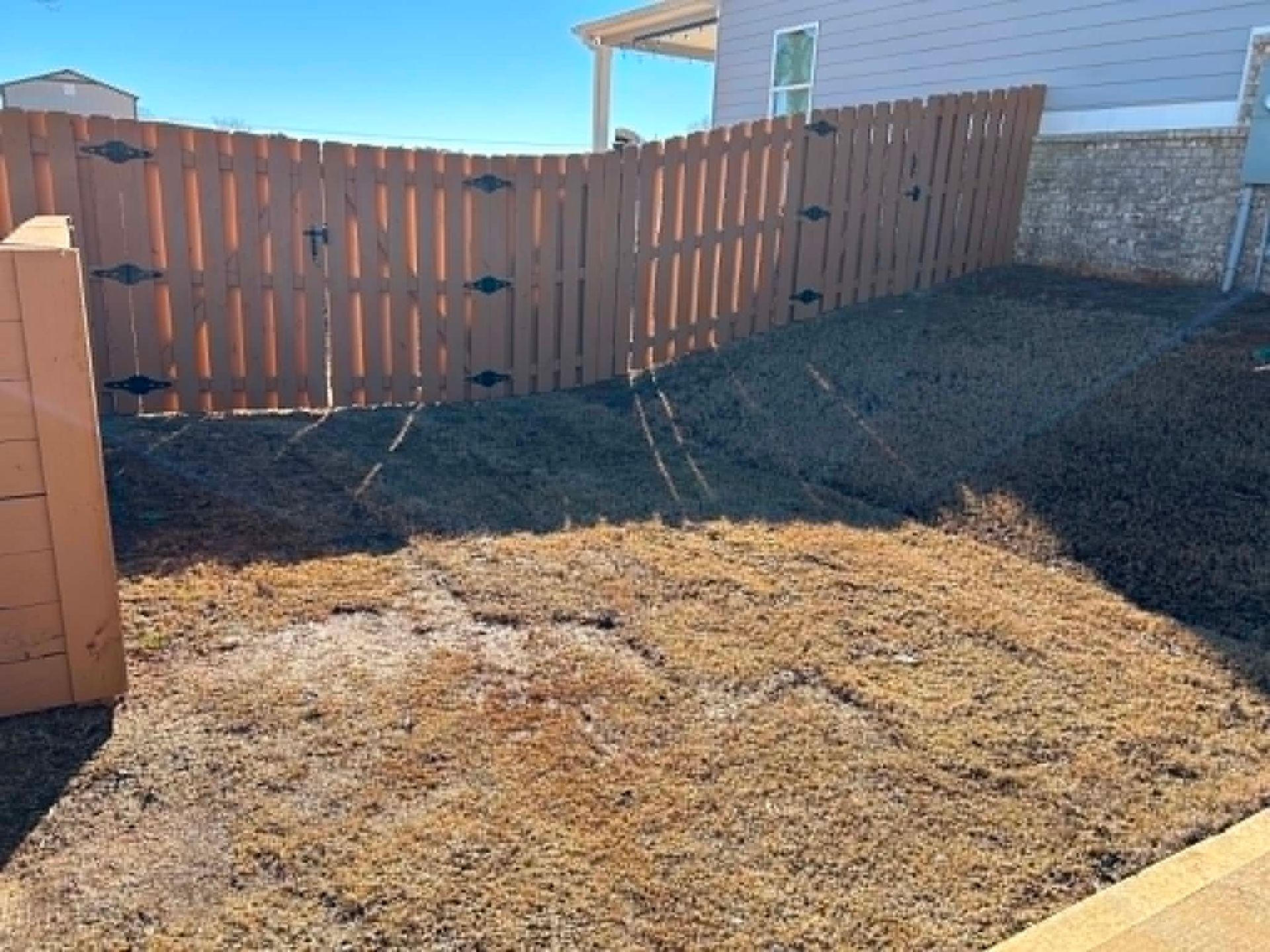 Small backyard with dry grass, wooden fence, and a blue house in bright sunlight.