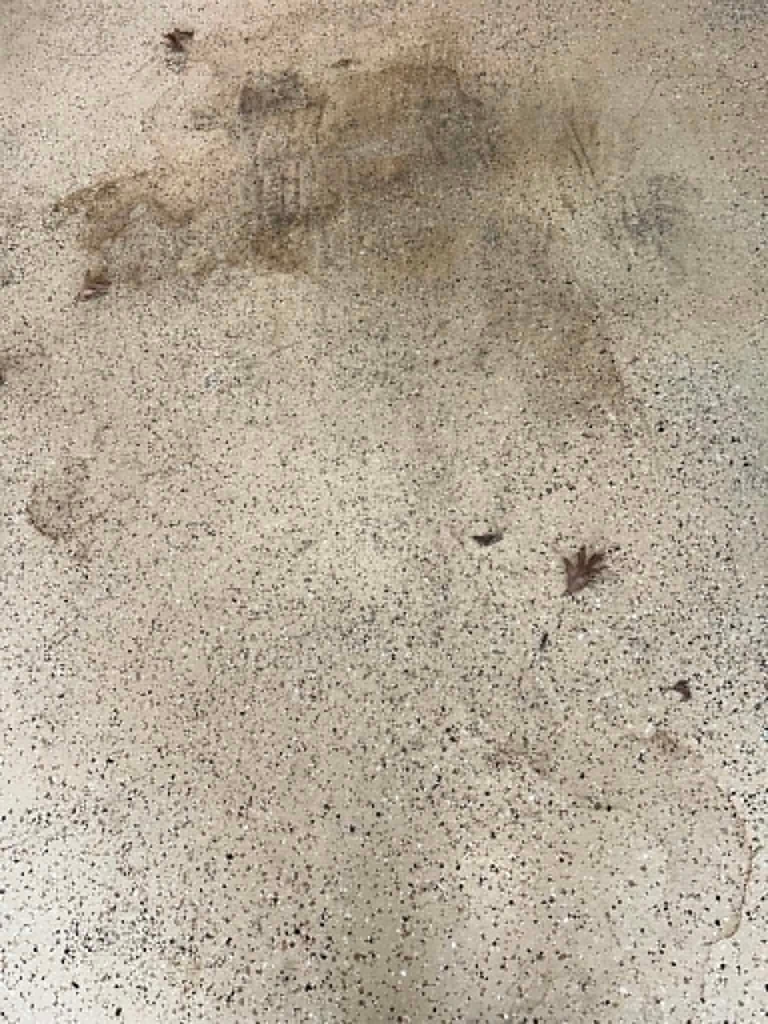 Close-up of a dirty beige concrete surface with dark stains and small debris.