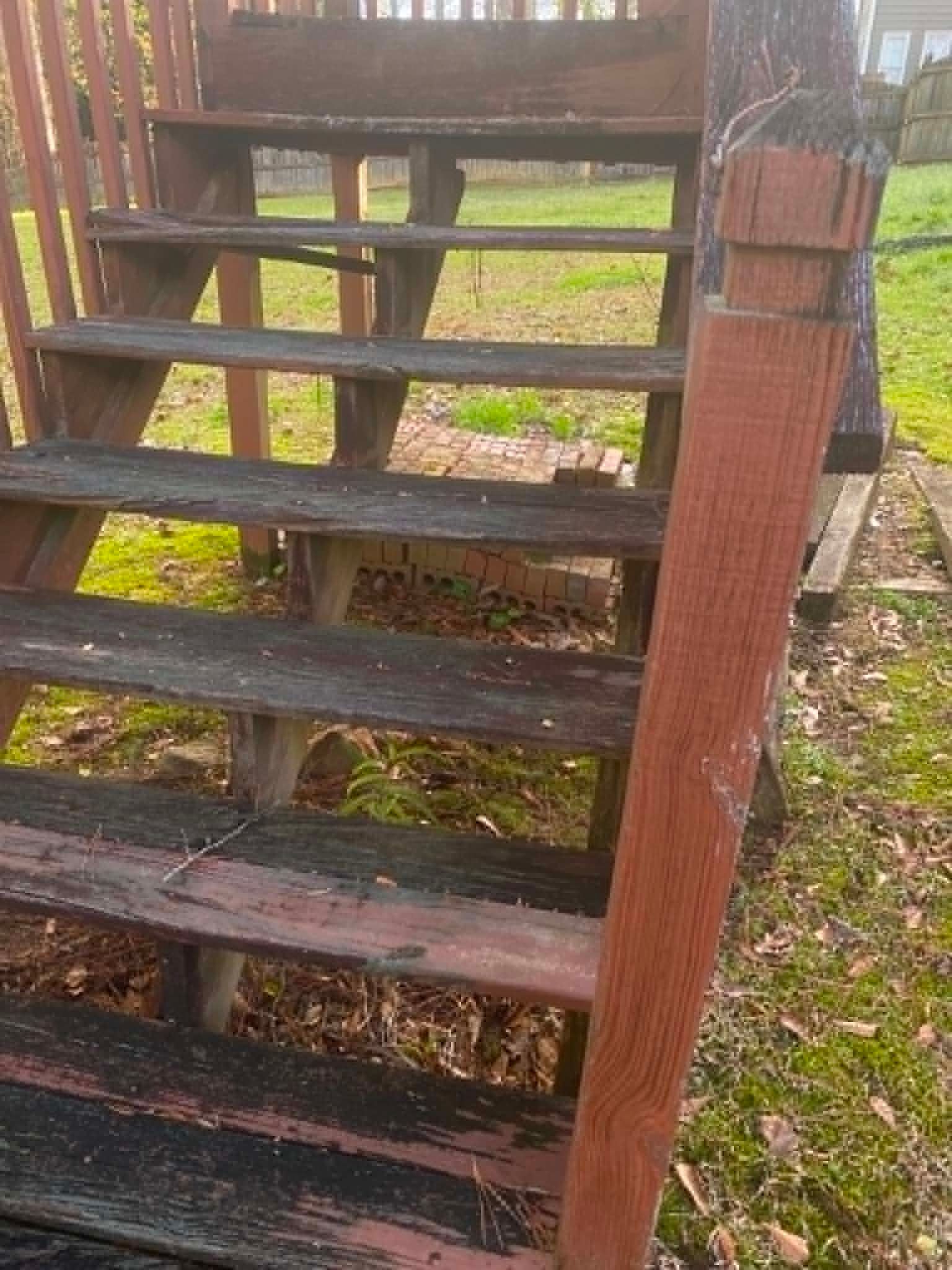 Weathered wooden outdoor stairs with a brown railing and mossy ground below