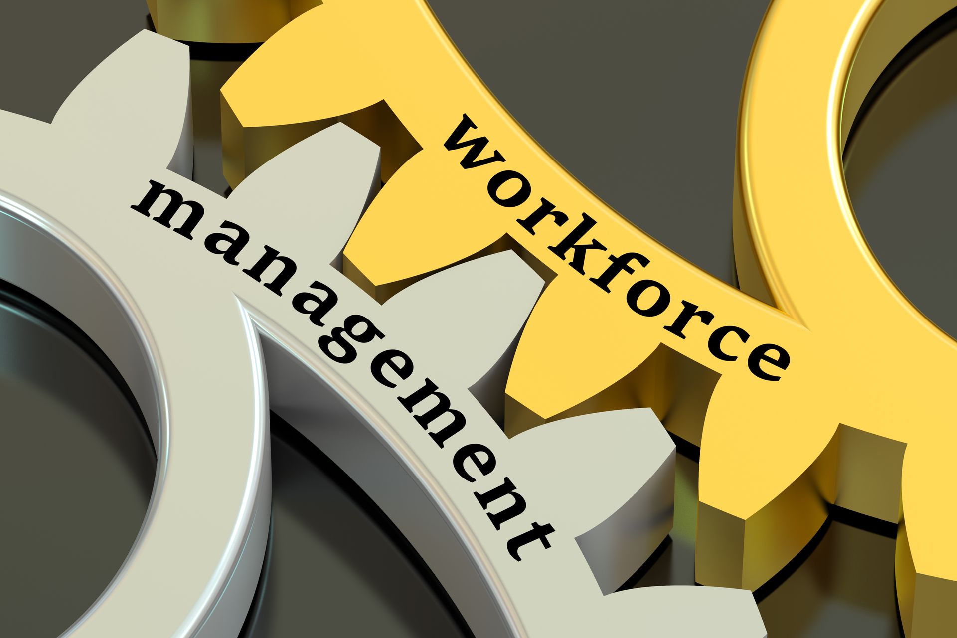 workforce management concept on the gearwheels.
