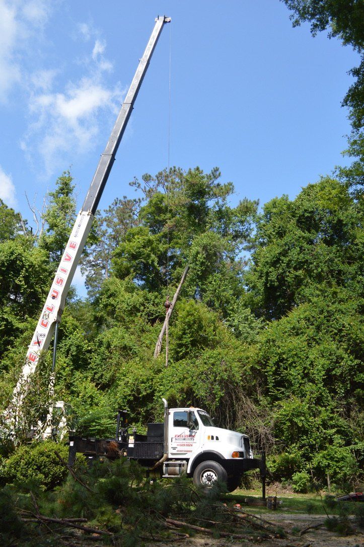 Crane Rigging Crawfordville