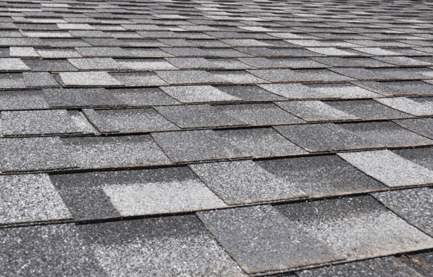 Close-up of a gray asphalt shingle roof.