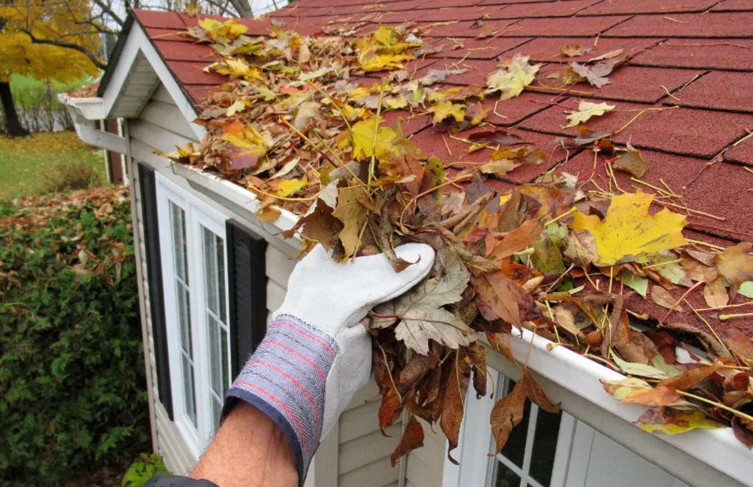 A person in gloves cleaning fallen leaves from a gutter on a house with a red roof.