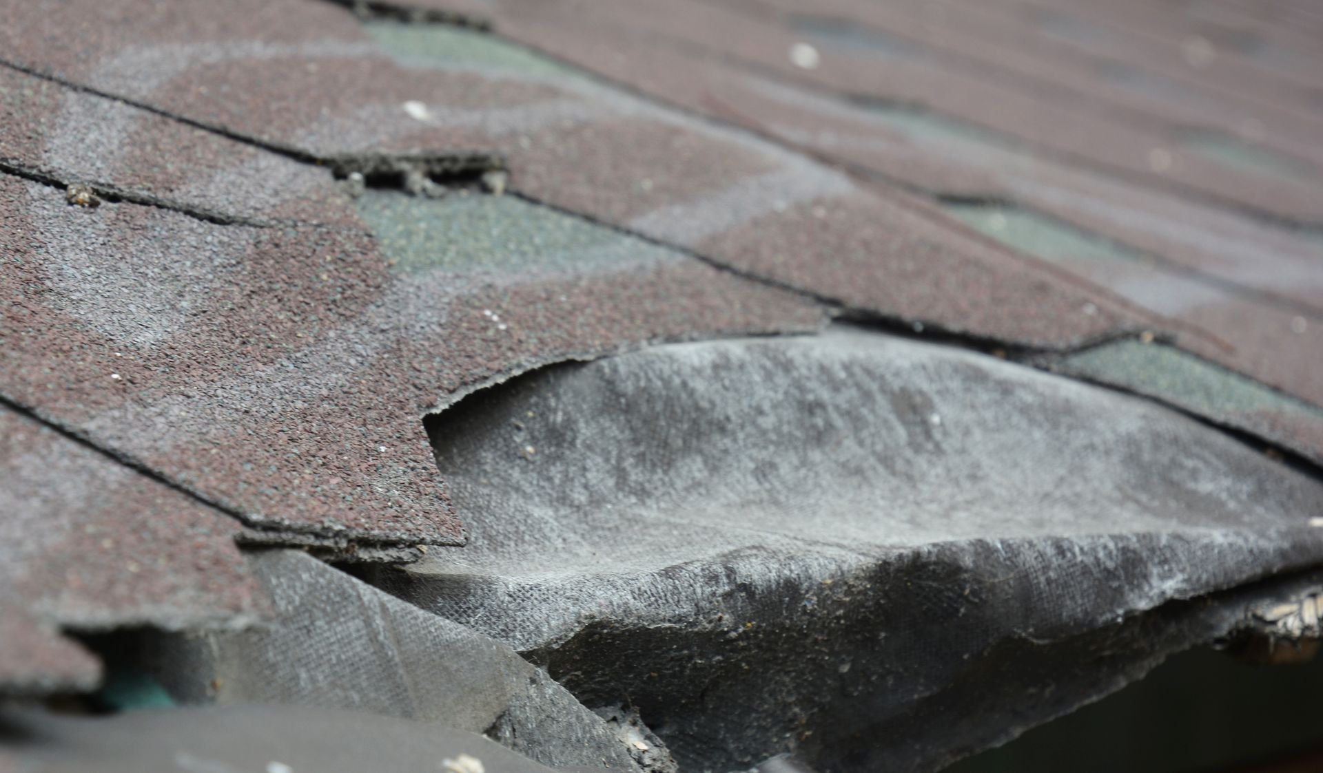 Damaged brown asphalt roof shingles with missing pieces and white granular coating.
