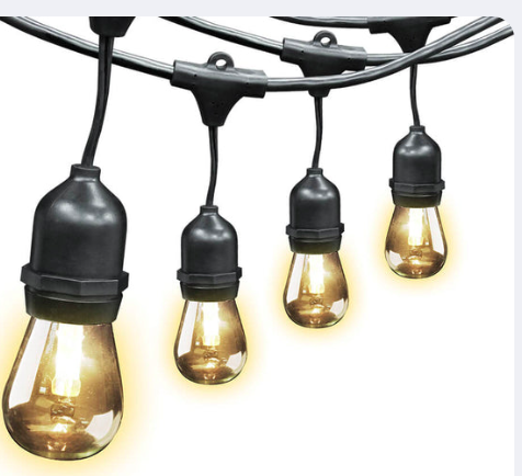 48' String Edison Light Set