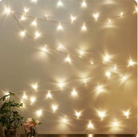 48' String Edison Light Set