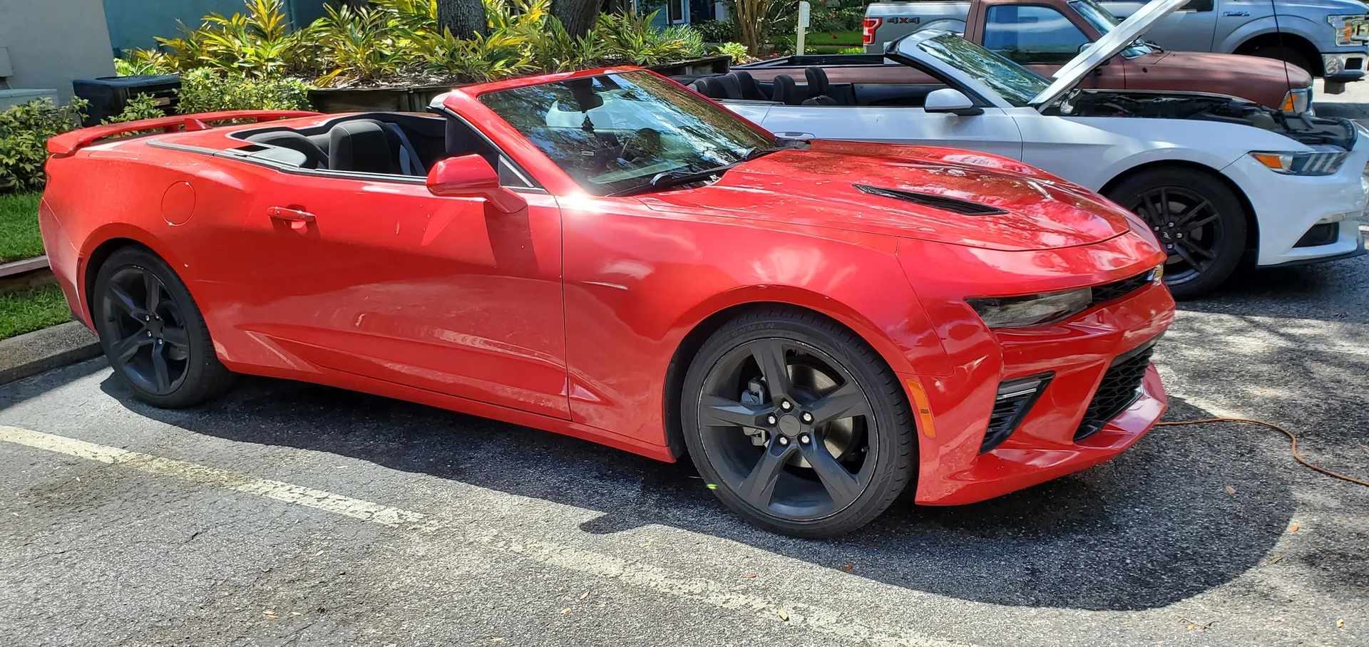 Convertible windshield repair near Tarpon Springs, FL