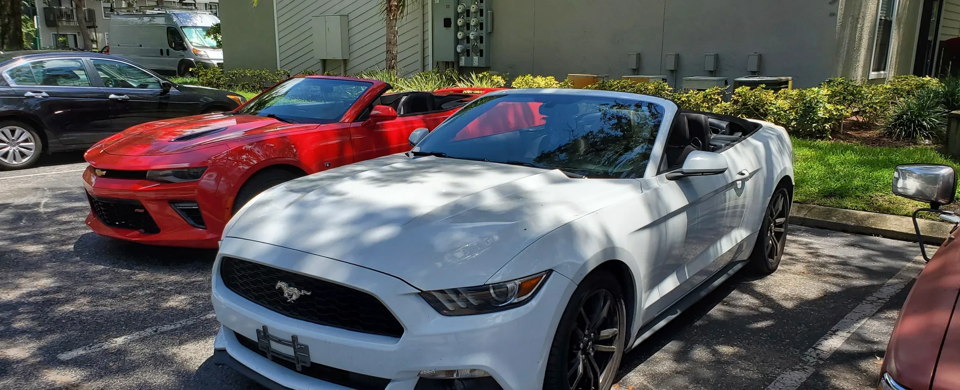 Windshield replacement near Clearwater, FL