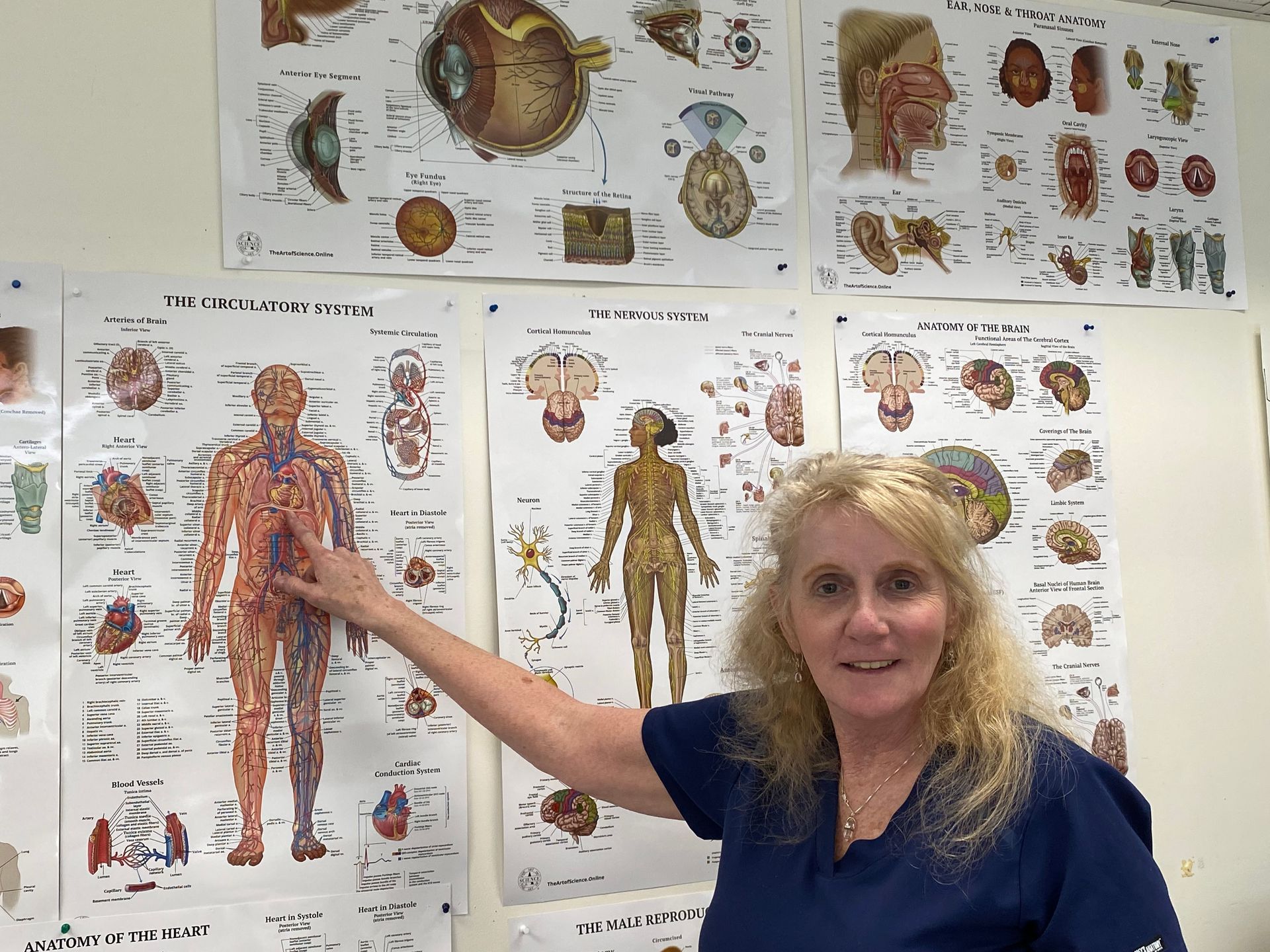 Maureen Fisher points to heart on circulatory sytem poster