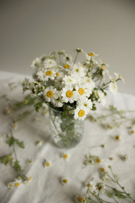 A vase filled with daisies is sitting on a table.