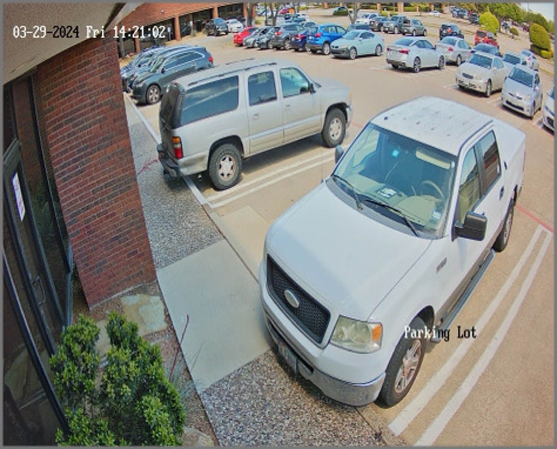 Parking lot scene: a white pickup truck and silver SUV parked near a building. Other cars in the background.