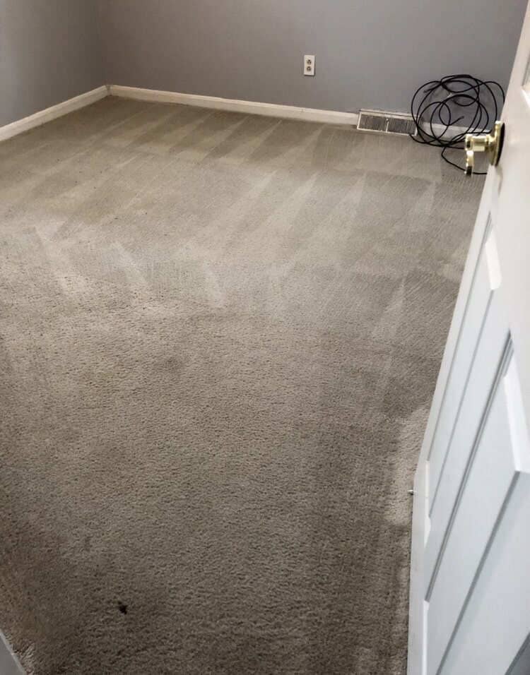 Cleaned room carpet — Carpet Cleaning in Lexington, KY