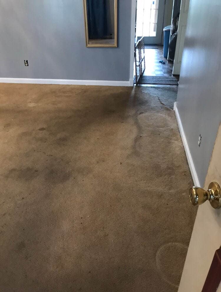 Dirty carpet — Carpet Cleaning in Lexington, KY