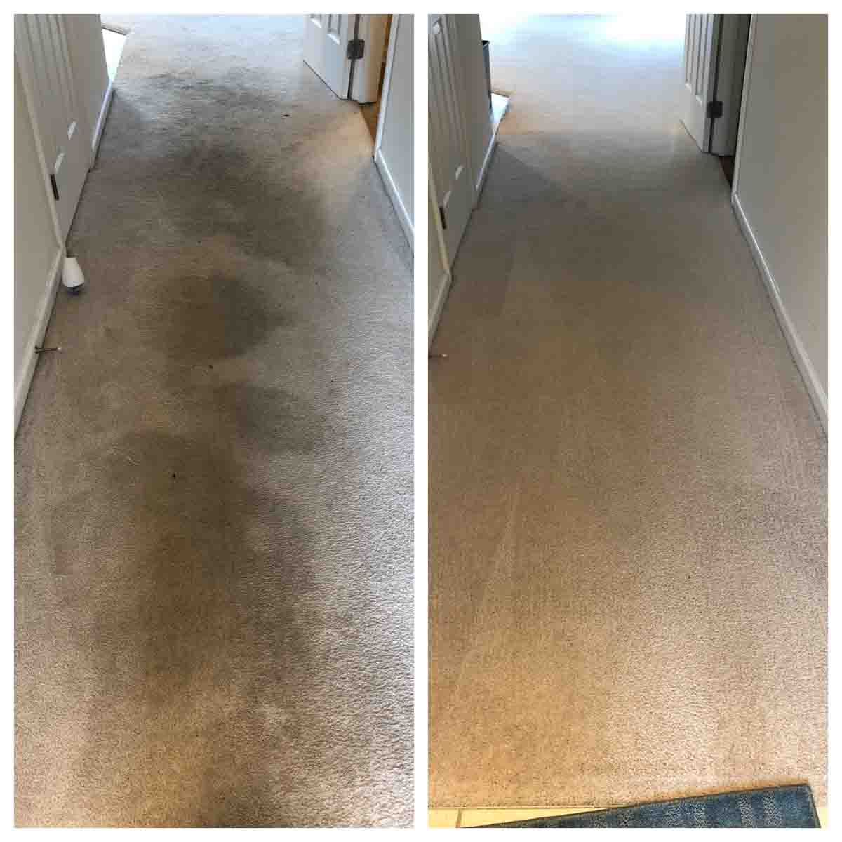 Before and after hallway carpet cleaning — Carpet Cleaning Services in Lexington, KY