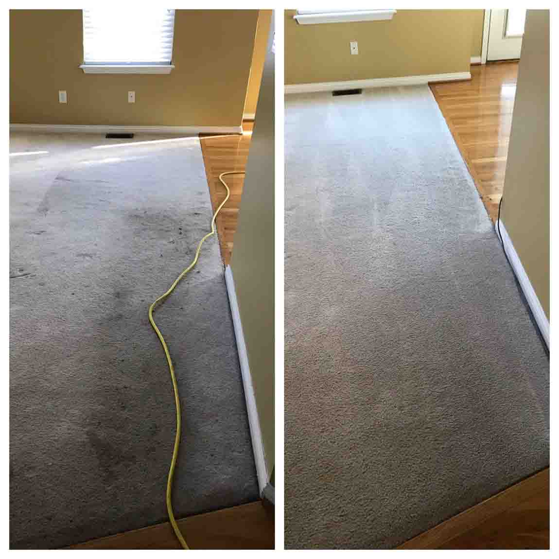 Before and after cleaning carpet — Carpet Cleaning Services in Lexington, KY