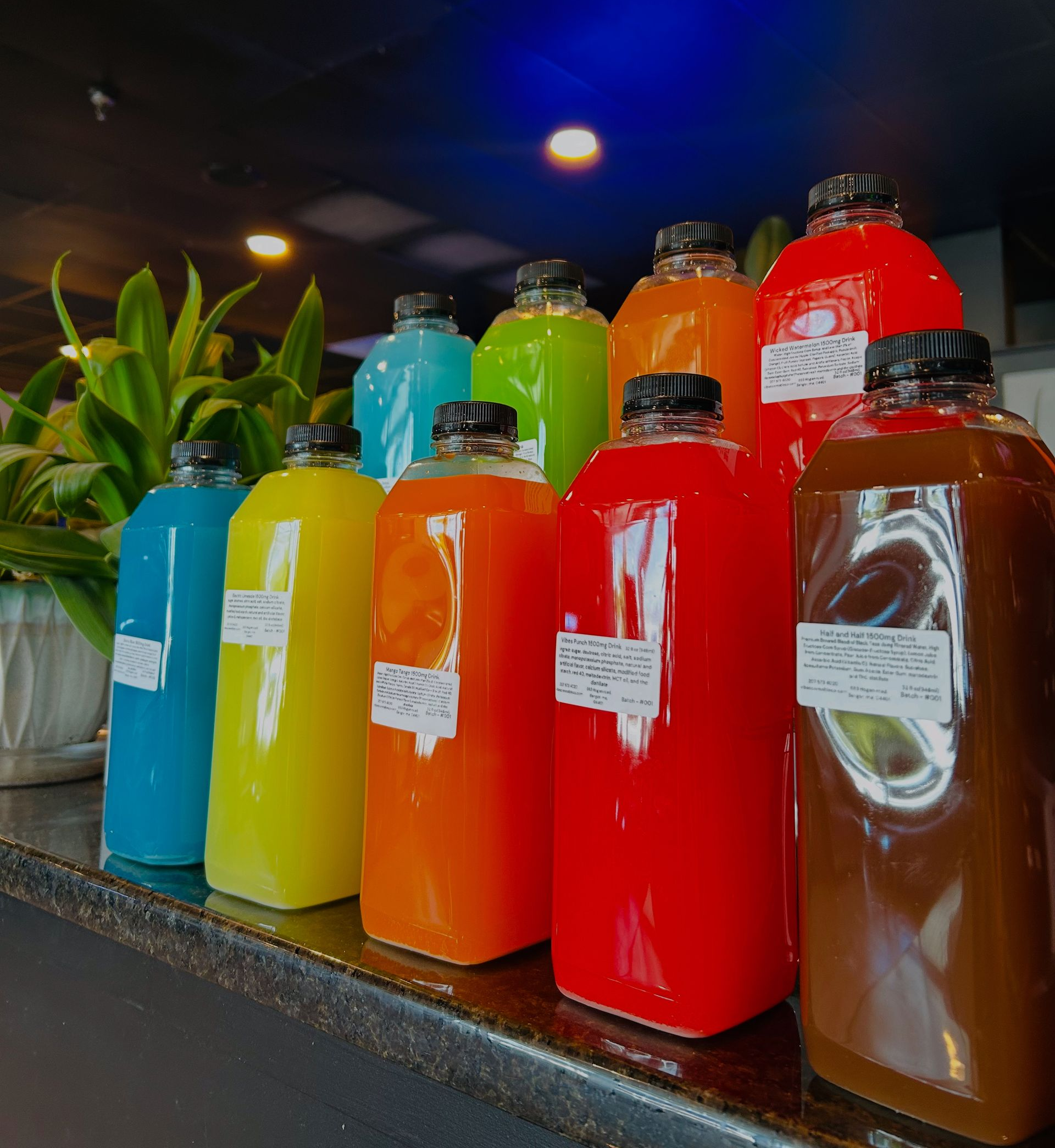 A large potted plant is sitting in a living room next to a couch.
