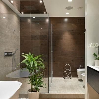 Modern bathroom with brown wood paneling, glass shower, a potted plant, and white fixtures.