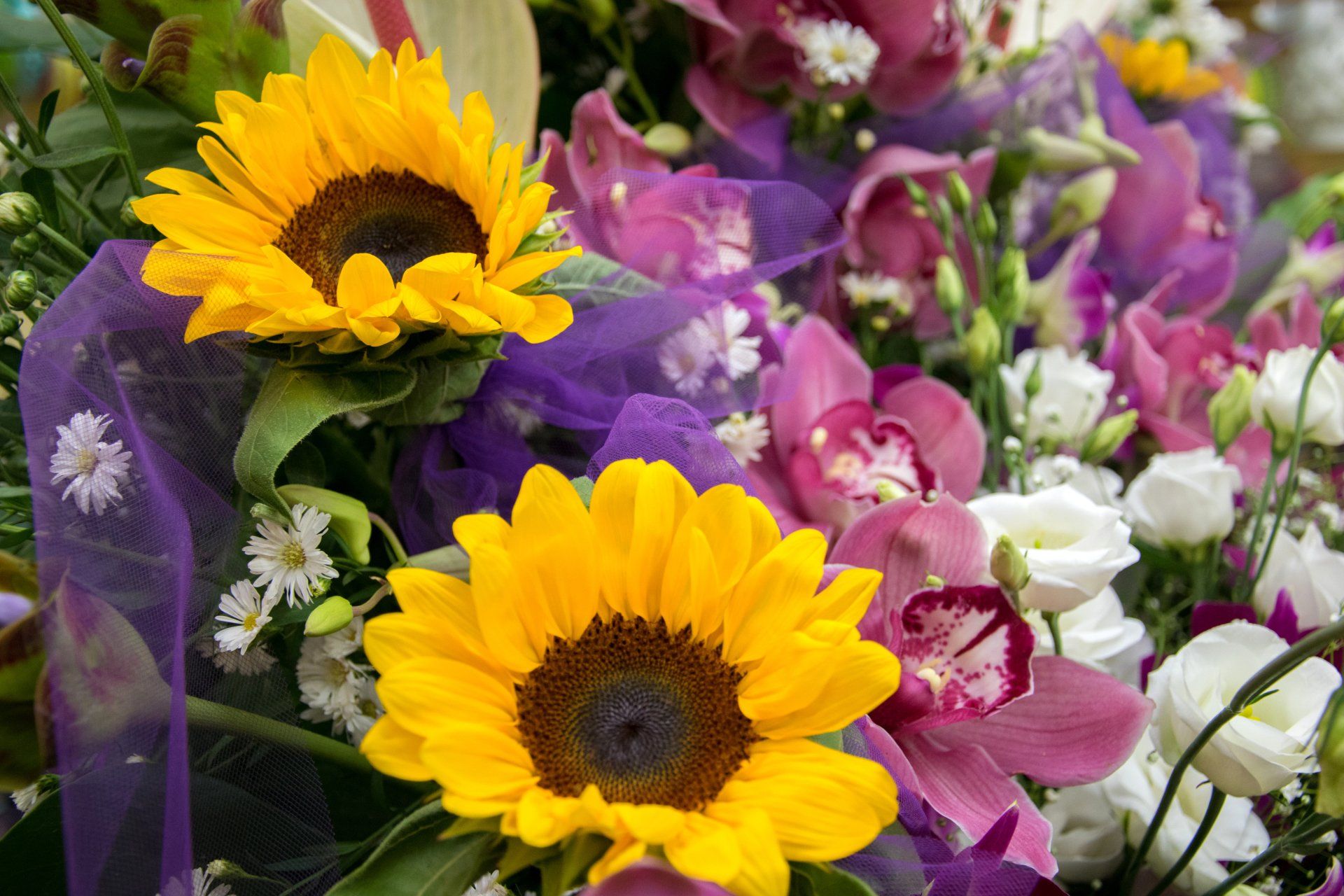 fiori di tutti i generi