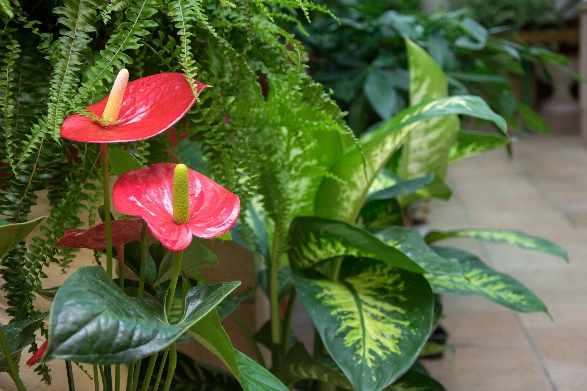 onoranze funebri servizio floreale