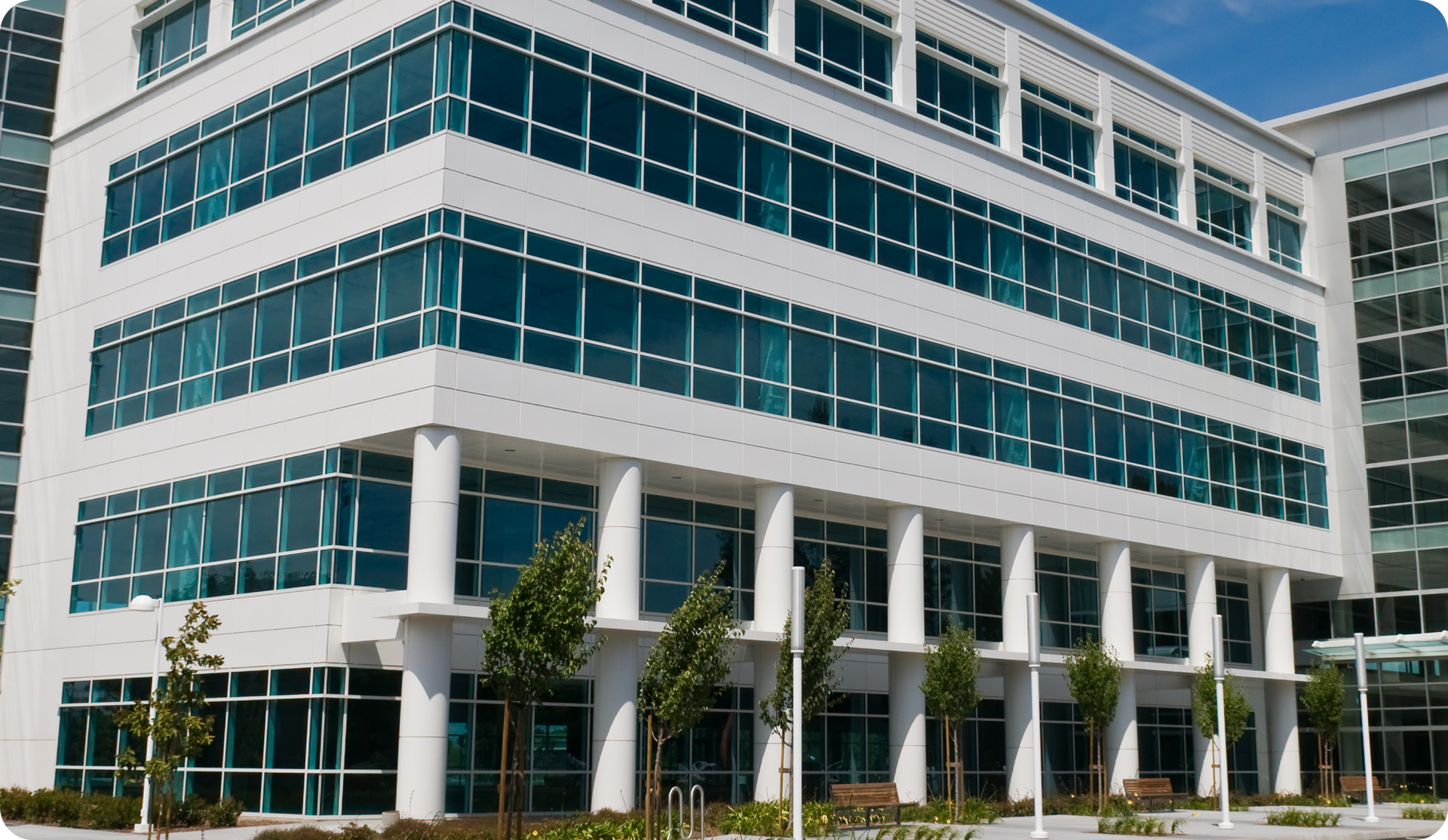 White office building with multiple windows; trees and benches in front.