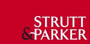 Strutt & Partner logo