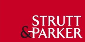 Strutt & Partner logo