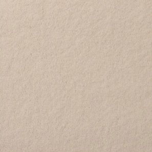 saxony (plush) carpet